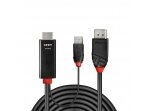 3m HDMI to DisplayPort Cable
