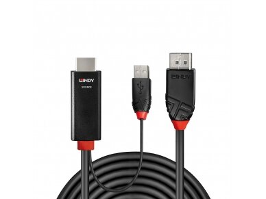 3m HDMI to DisplayPort Cable 1