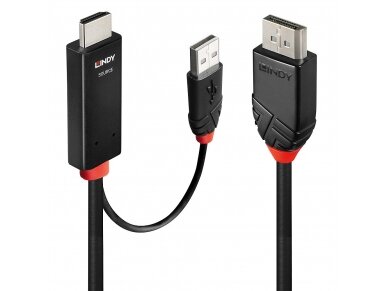 3m HDMI to DisplayPort Cable