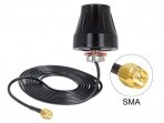 Antena LTE SMA kištukas 3m RG174 2dBi, išorinė
