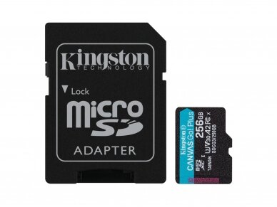 Atminties kortelė Kingston microSDHC 256GB CL10 + adapt. 1