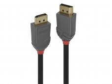 DisplayPort 1.1 kabelis 15m 1920x1200 60Hz, Anthra Line