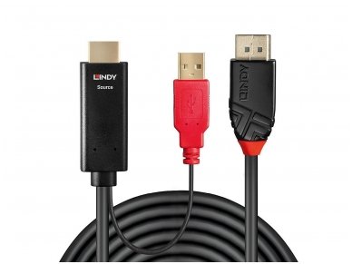 HDMI į DisplayPort 1.2 kabelis 4K 4096x2160 30Hz, 1m 1