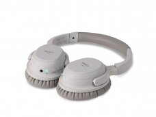 LH500XW Wireless Active Noise Cancelling Headphones