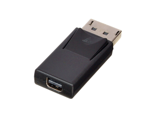 Mini-DisplayPort F į DisplayPort M perėjimas 1