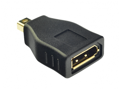 Mini-DisplayPort M į DisplayPort F perėjimas 1