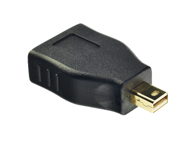 Mini-DisplayPort M į DisplayPort F perėjimas