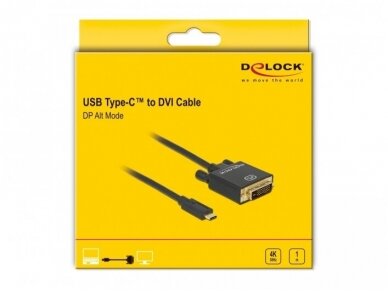 USB-C 3.1 į DVI-D kabelis 1m 4K 30Hz 3