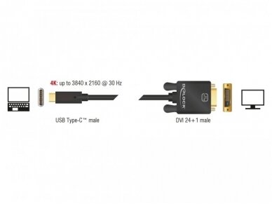 USB-C 3.1 į DVI-D kabelis 1m 4K 30Hz 4
