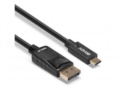 USB-C į DisplayPort kabelis 10m 4K 60Hz HDR 2
