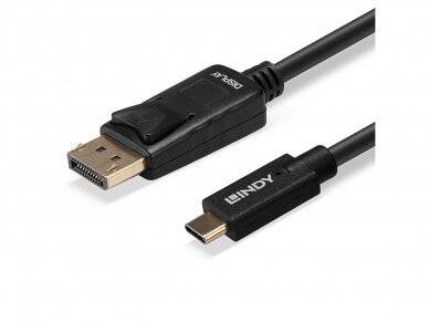 USB-C į DisplayPort kabelis 10m 4K 60Hz HDR 4